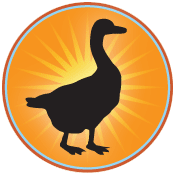 Black Goose