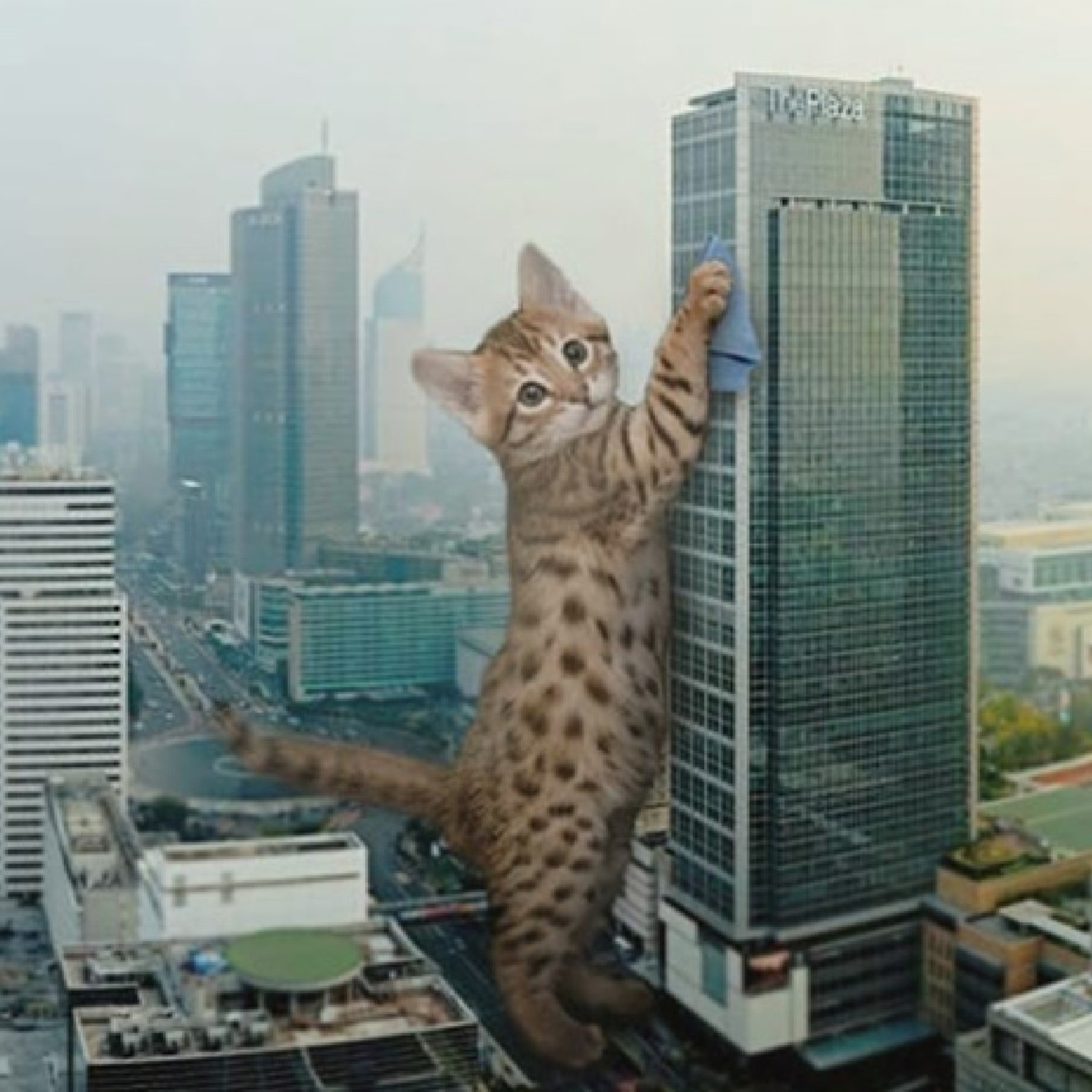 BuildingScratchpost